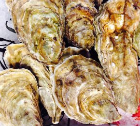 Fresh Fin D'Claire Oysters