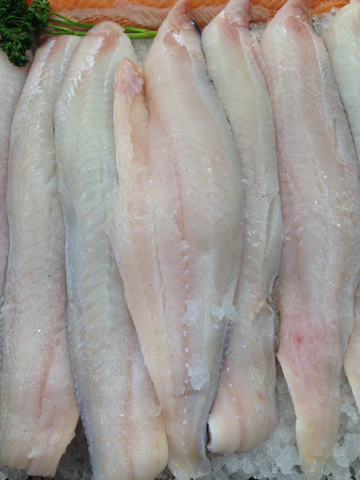 Fresh Haddock Fillet Ocean Wave Fisheries