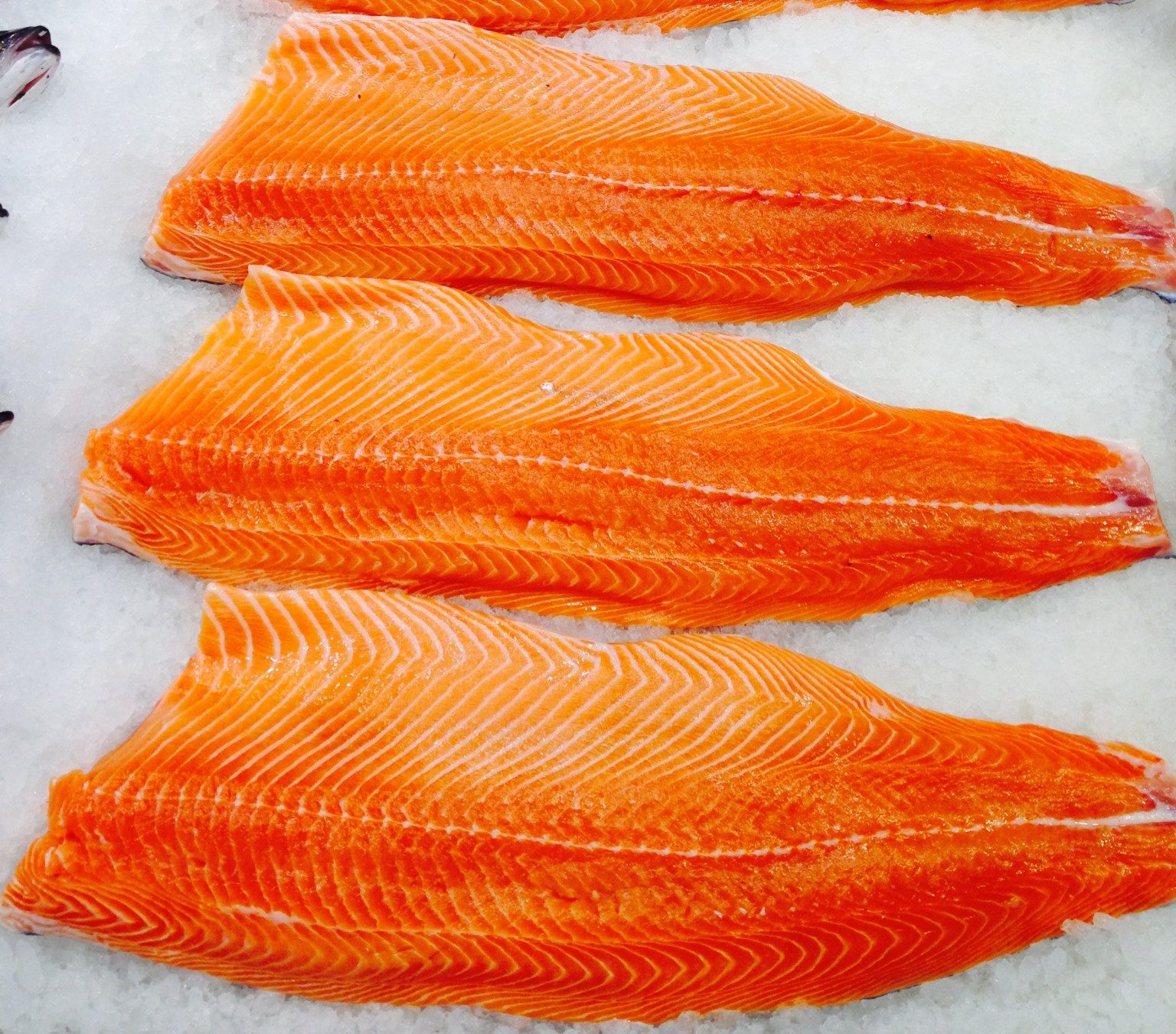 Fresh Whole Salmon - Ocean Wave Fisheries